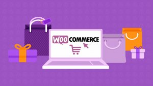Procurando um plugin para loja virtual? Conheça 5 dos mais usados no e-commerce