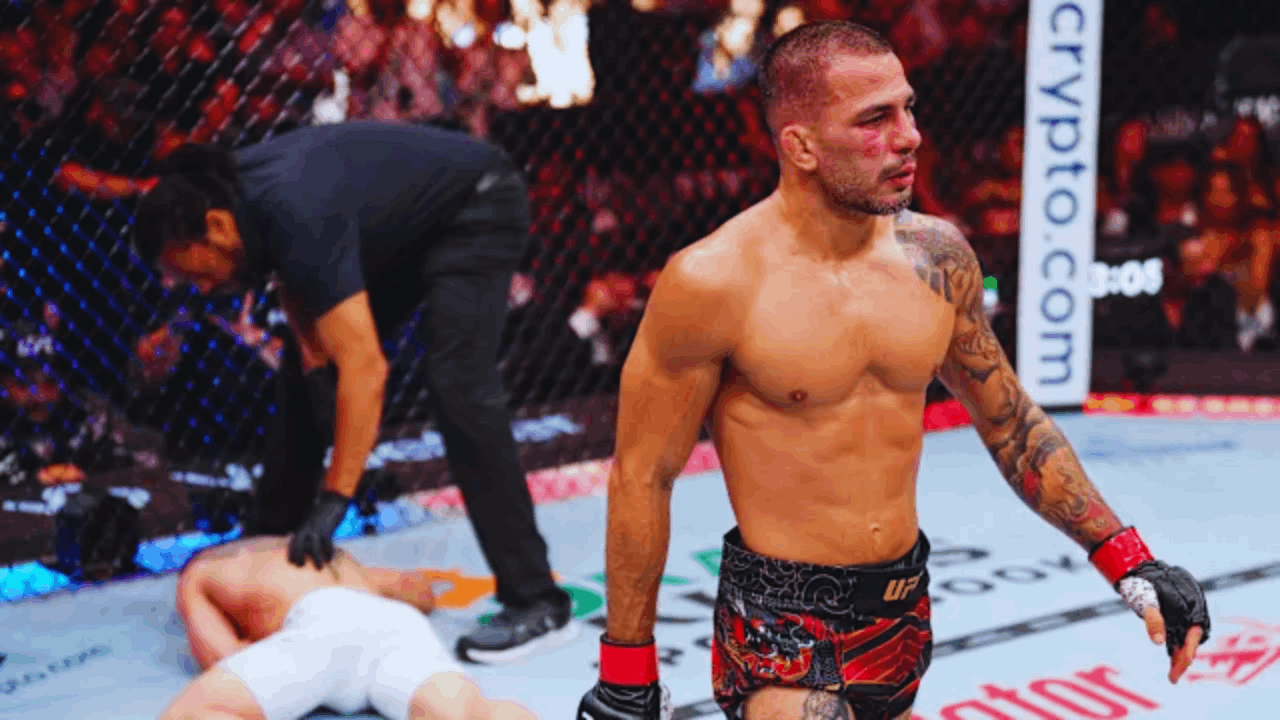Onde assistir lutas de MMA e boxe no Brasil