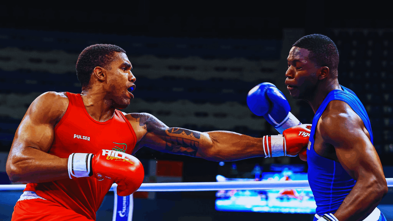 Onde assistir lutas de MMA e boxe no Brasil